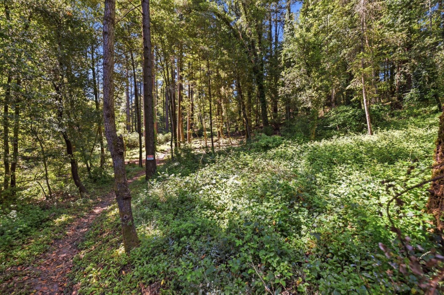 0 Garfield WAY, Felton, CA 95018, Photo 7