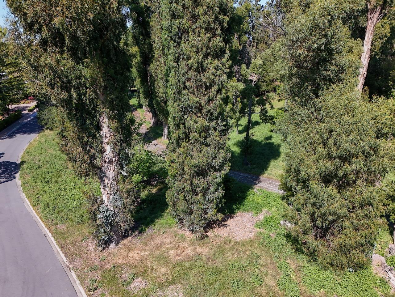 25 Fagan Dr, Hillsborough, CA 94010, Photo 3