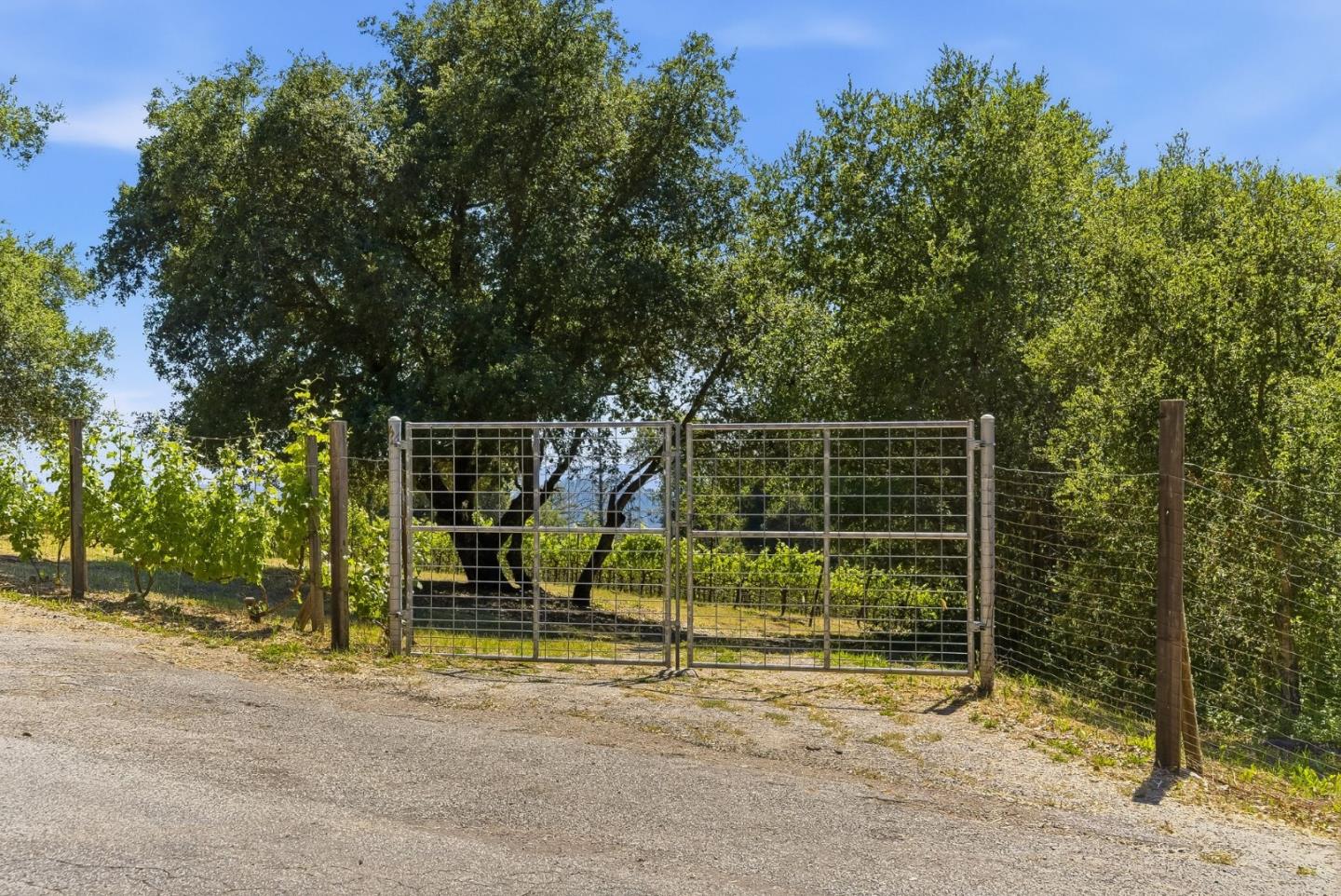 0 Miller Hill RD, LosGatos_1, CA 95033, Photo 2