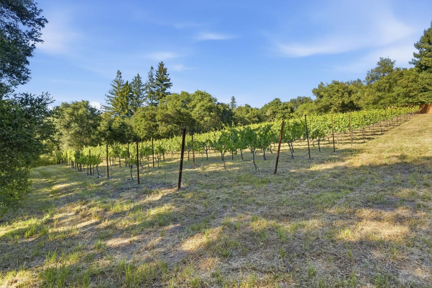 0 Miller Hill RD, LosGatos_1, CA 95033, Photo 4