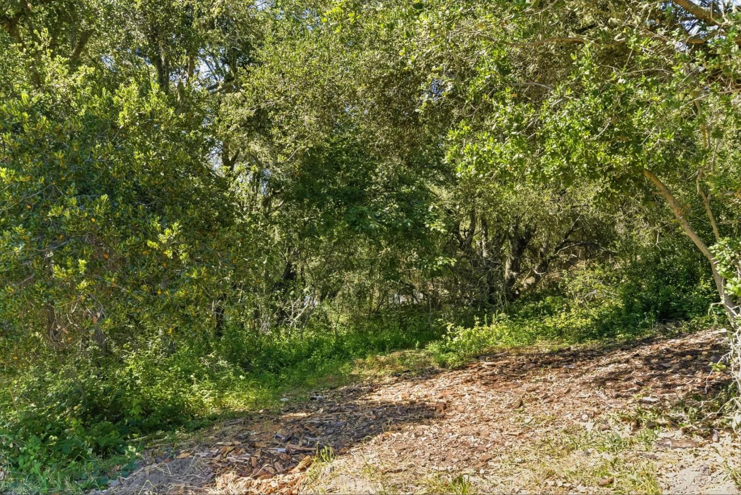 0 Miller Hill RD, LosGatos_1, CA 95033, Photo 6