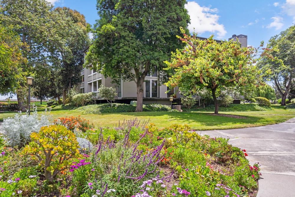 Photo #38: ML82050589 Listing: Photo #38