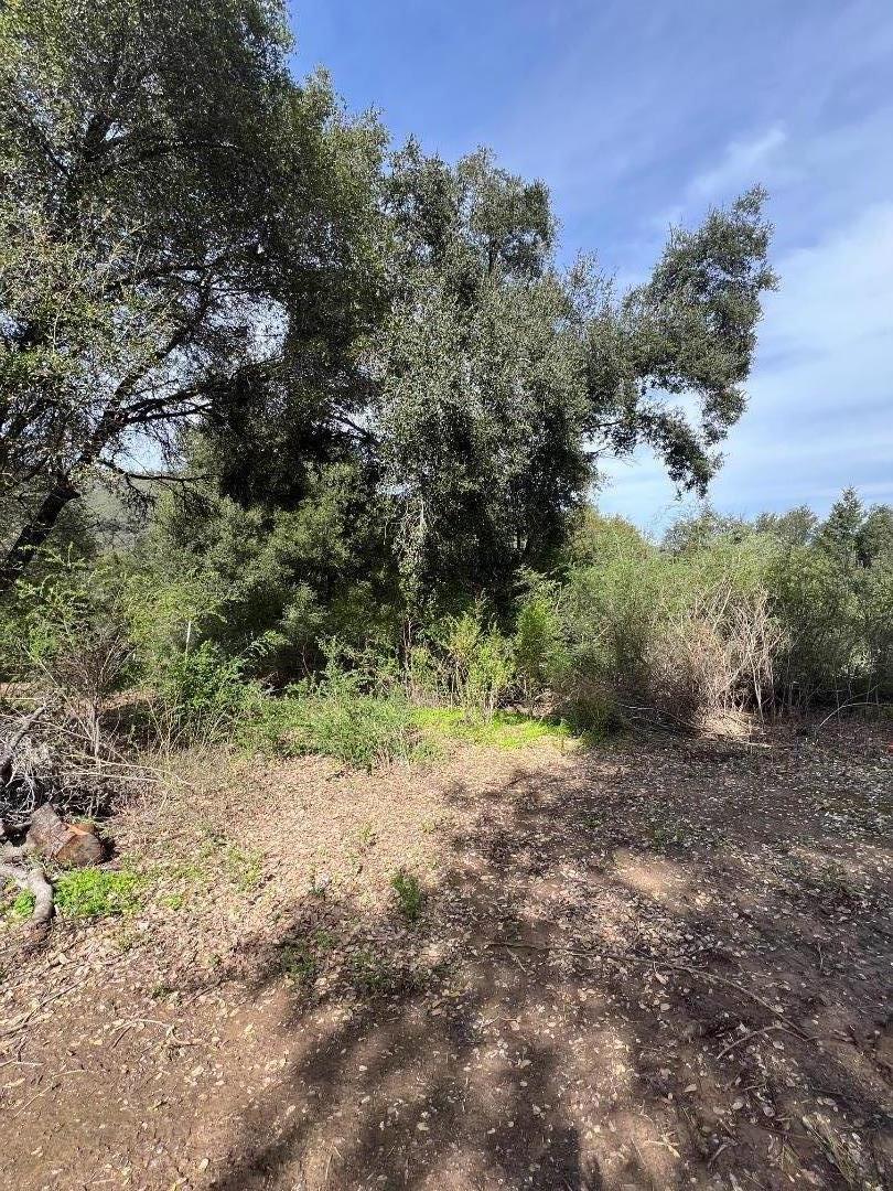 18445 Black Rd, LosGatos_1, CA 95033, Photo 7