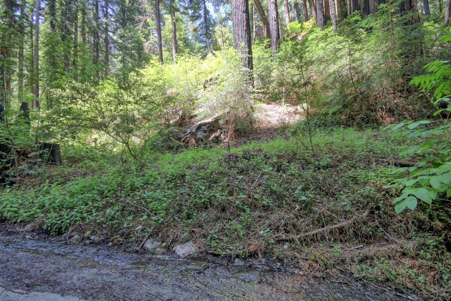 154 Leafwood DR, BoulderCreek, CA 95006, Photo 3