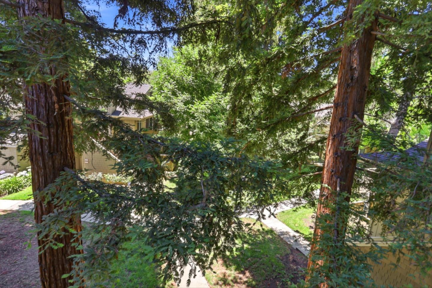 Photo #34: ML82050874 Listing: Photo #34