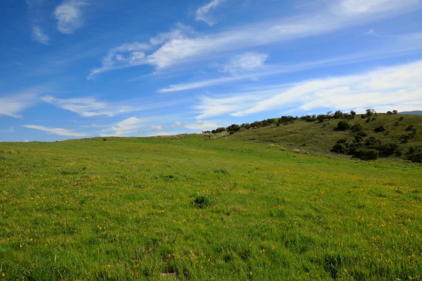 1 Peñon Peak Trail (Lot 217), Carmel, CA 93923, Photo 6