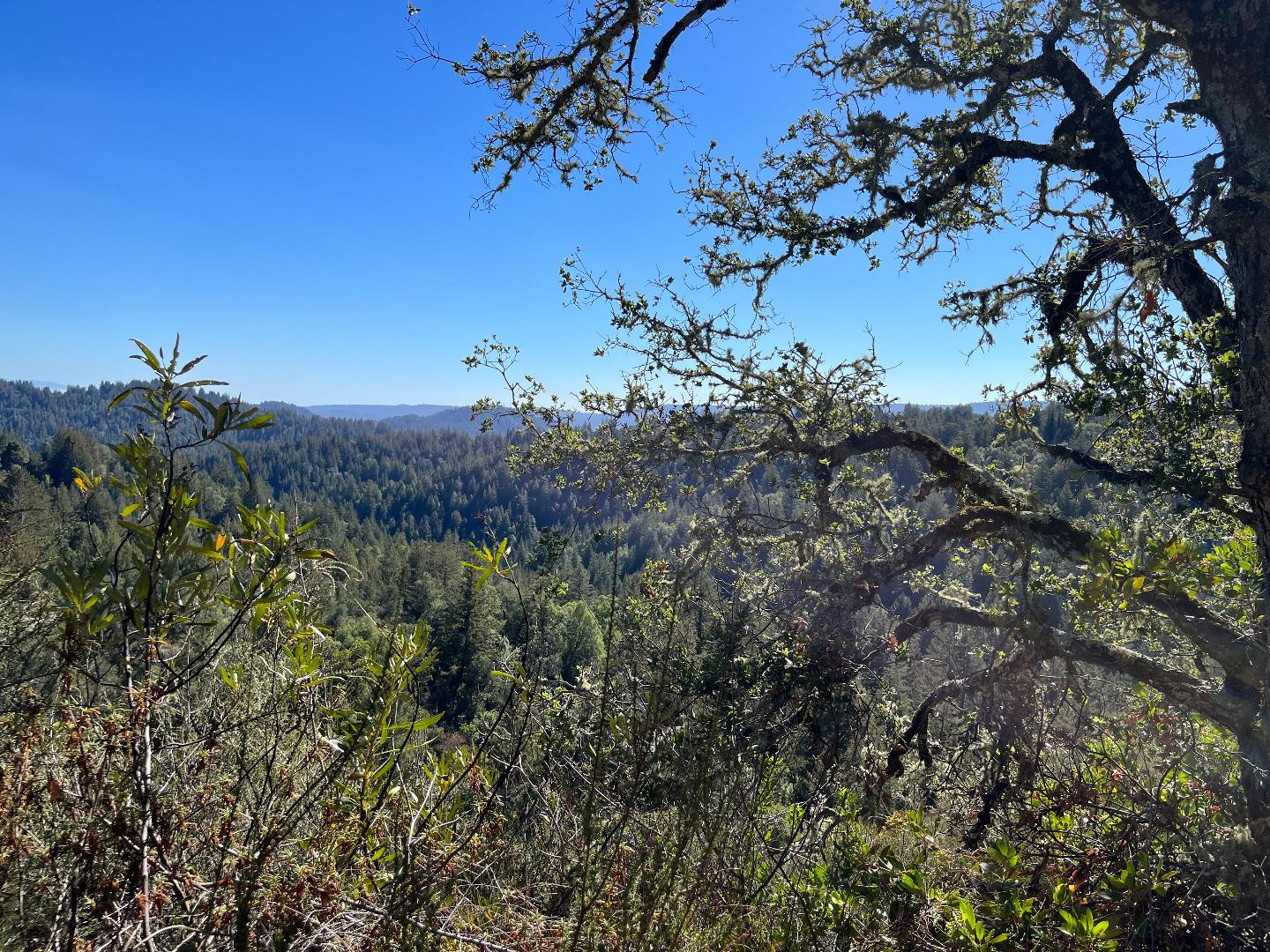 Lot 19 Bear Creek RD, BoulderCreek, CA 95006, Photo 2