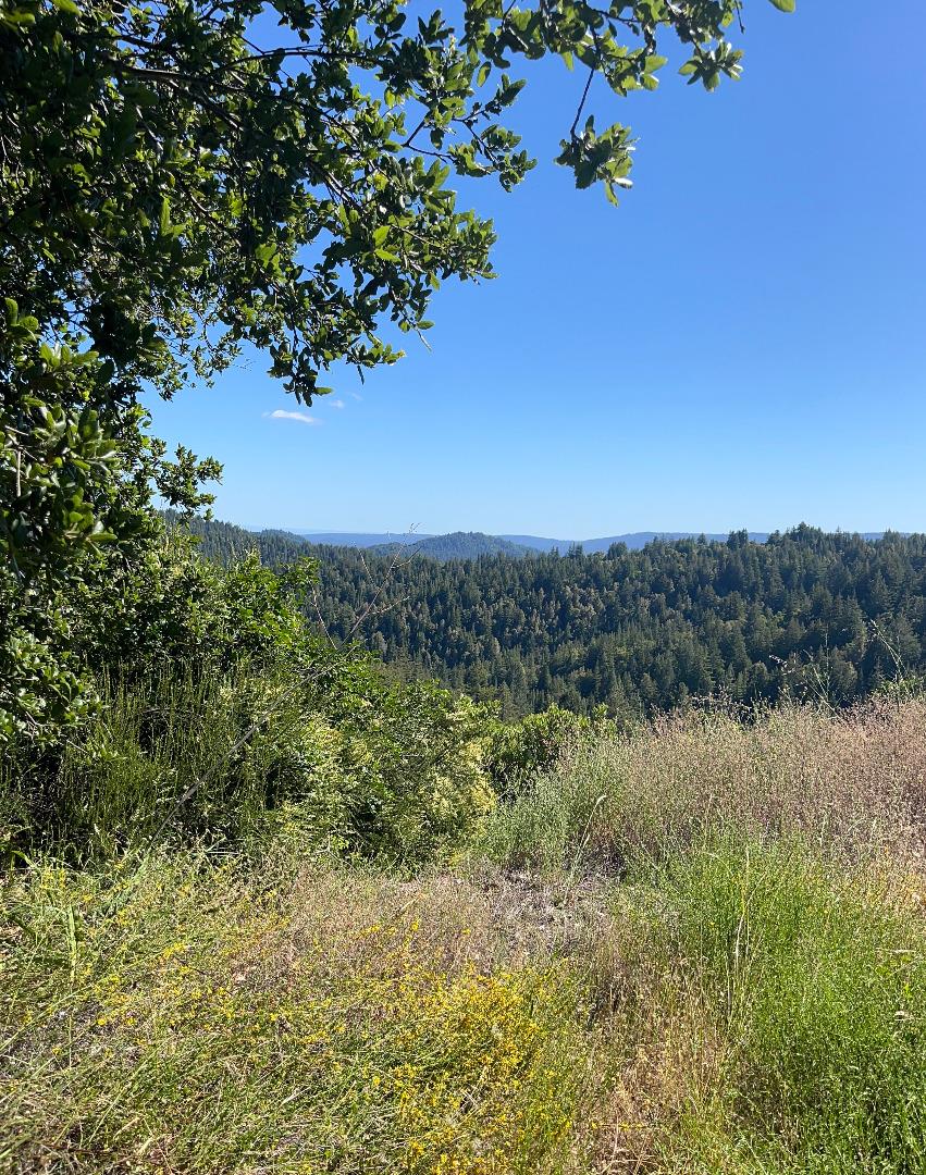 Lot 19 Bear Creek RD, BoulderCreek, CA 95006, Photo 3