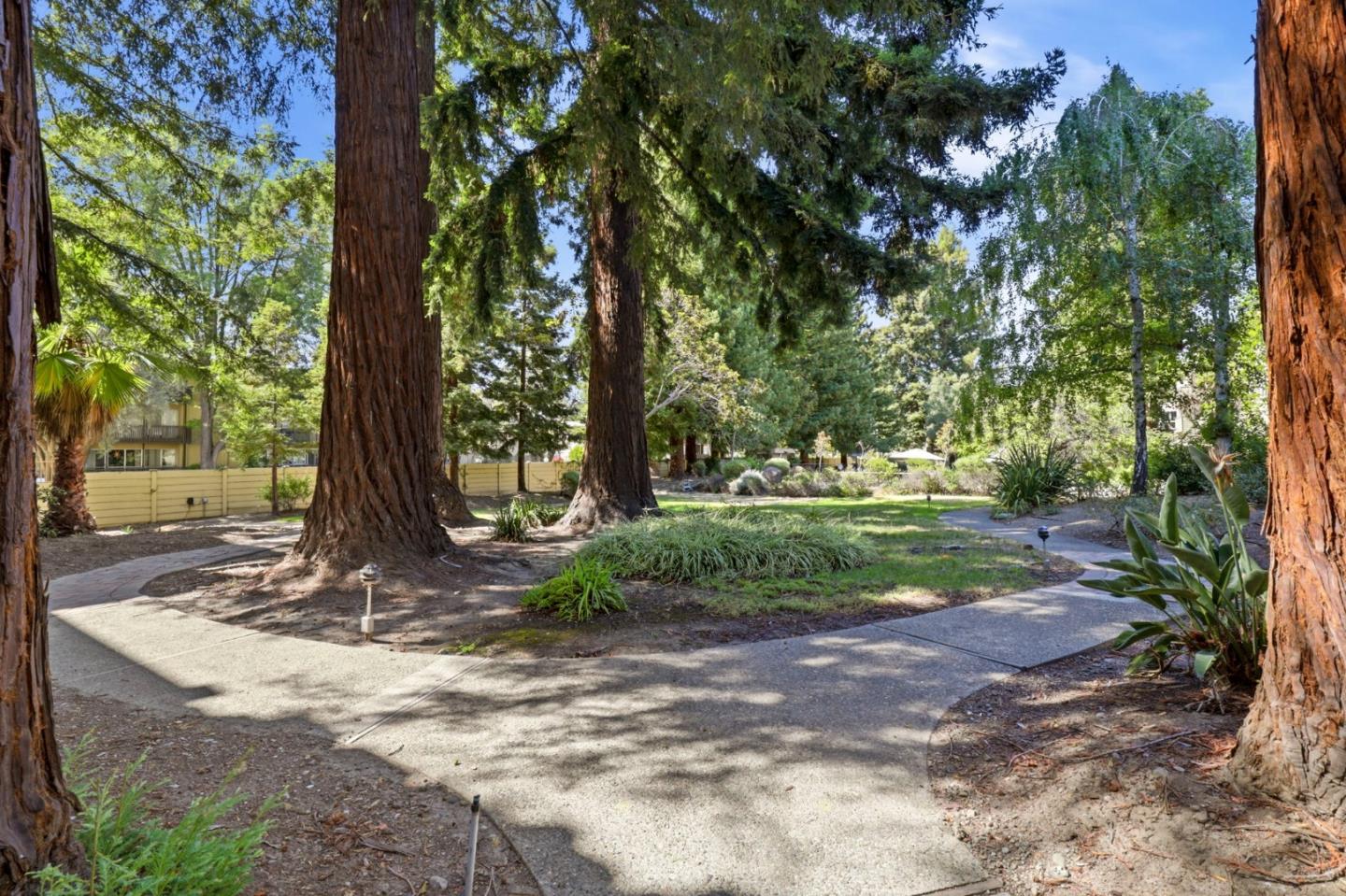 Photo #36: ML82051305 Listing: Photo #36