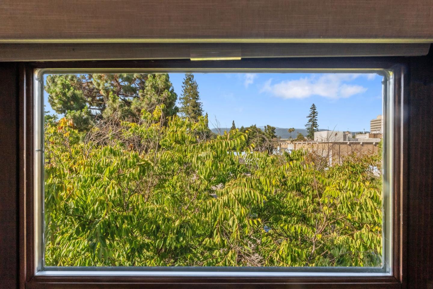 Photo #31: ML82051537 Listing: Photo #31