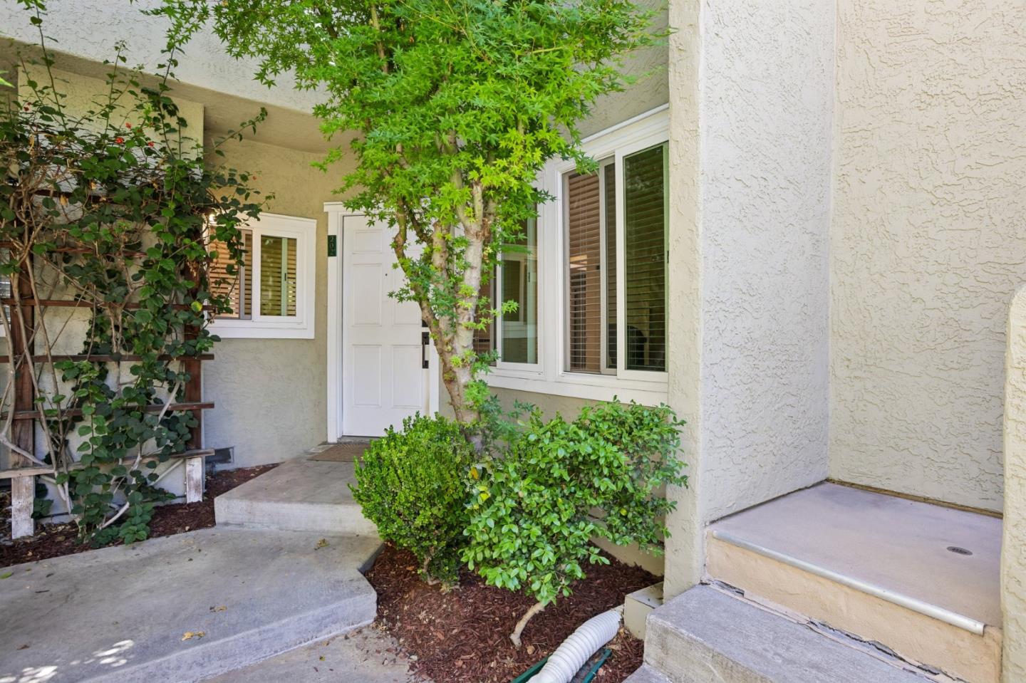 Photo #5: ML82051934 Listing: Photo #5