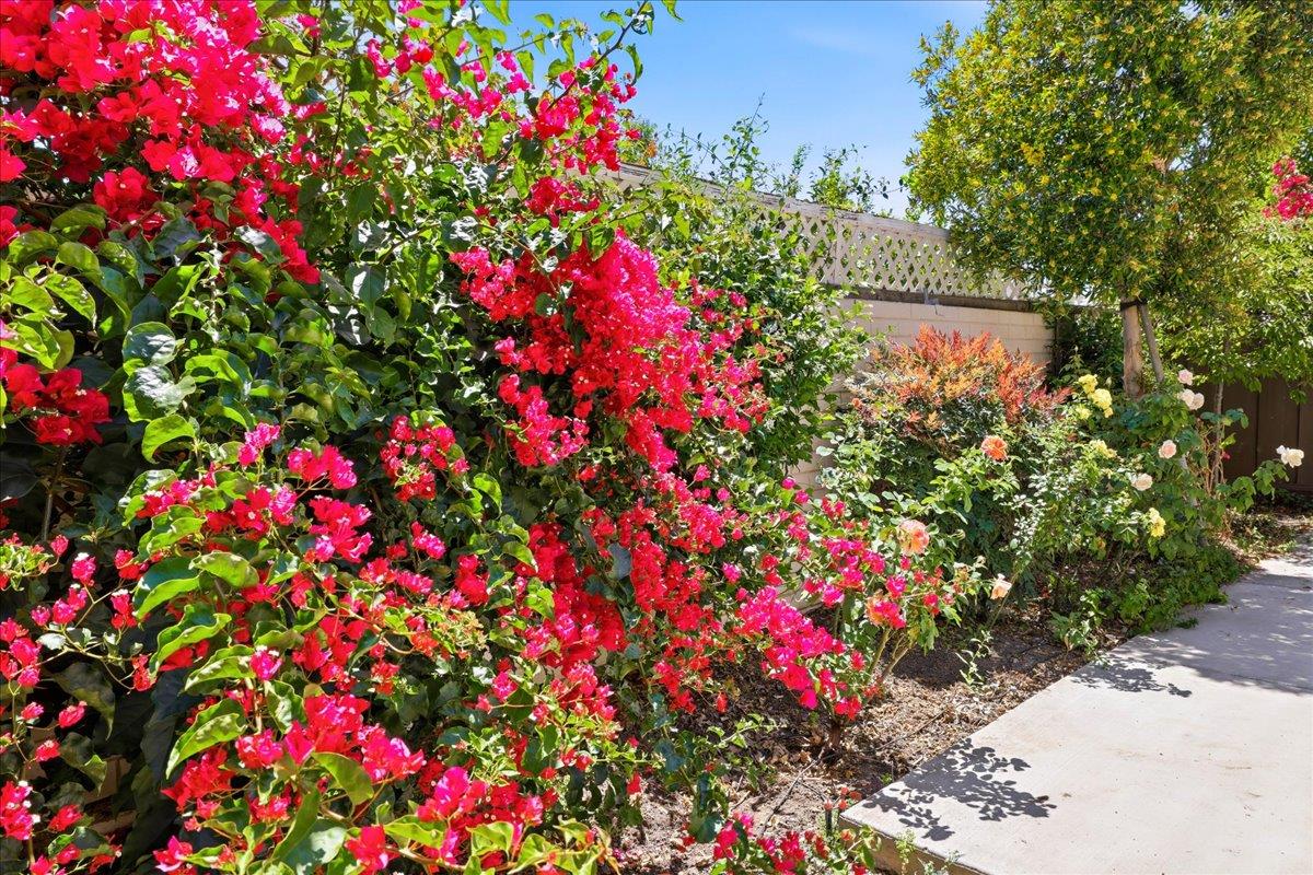 Photo #30: ML82052143 Listing: Photo #30