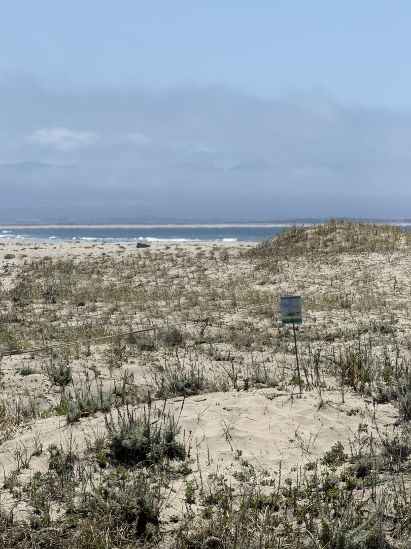 73 Pelican PT, Watsonville, CA 95076, Photo 2