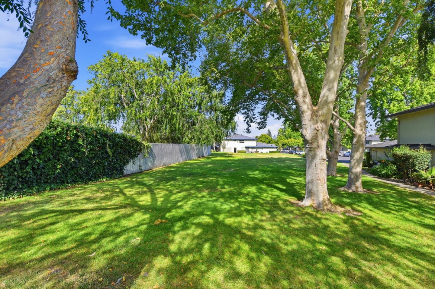 Photo #31: ML82052619 Listing: Photo #31