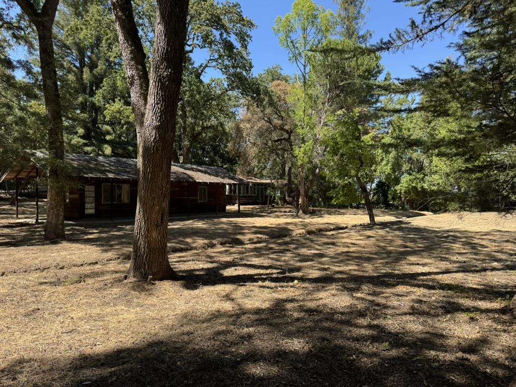 245 Bonita RD, PortolaValley, CA 94028, Photo 6