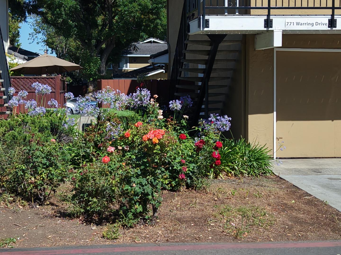 771 Warring DR 2, SanJose, CA 95123, Photo 2
