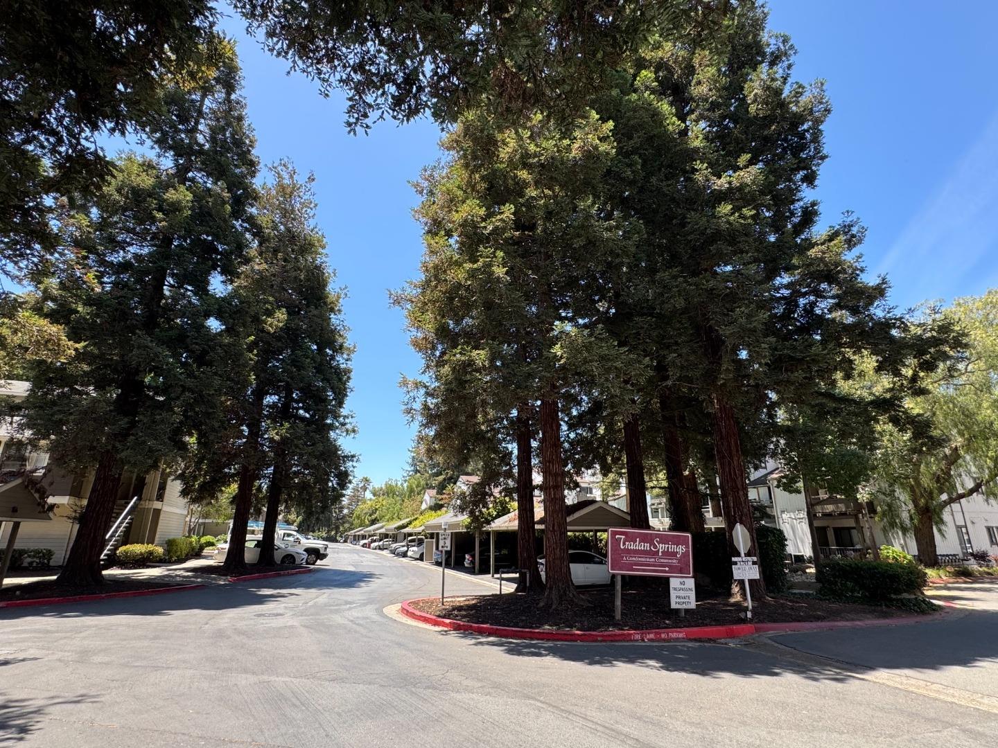 1856 Tradan DR, SanJose, CA 95132, Photo 3