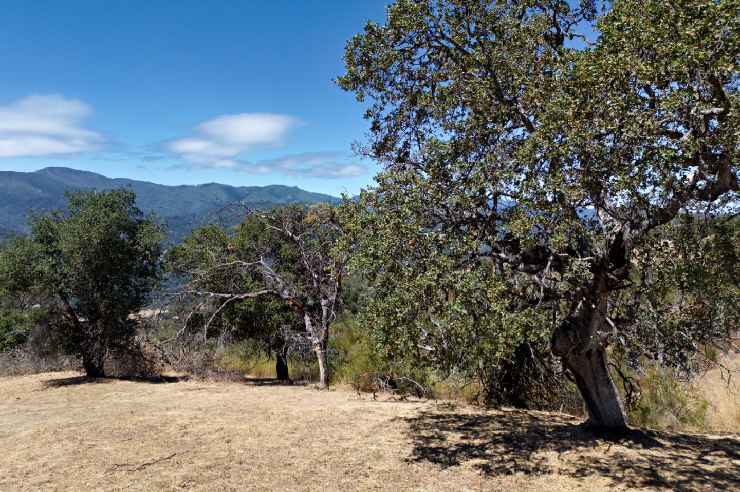 40 Asoleado Pl, CarmelValley, CA 93924, Photo 6