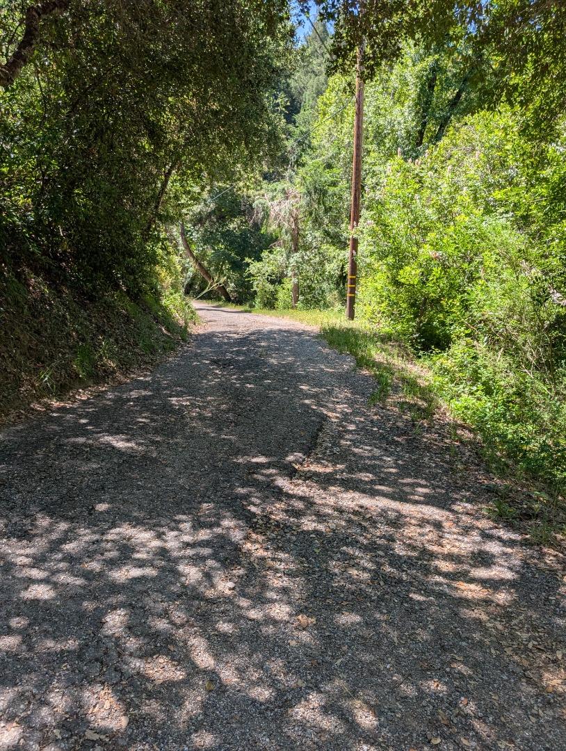 SAN LORENZO VALLEY