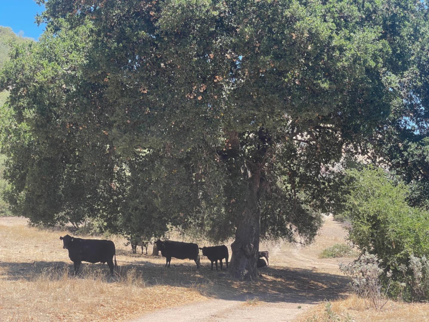 0 E Carmel Valley Rd, Greenfield, CA 93927, Photo 6