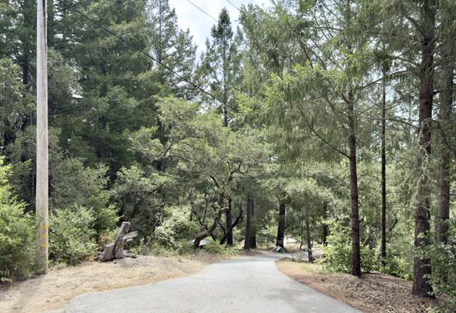 1374 Weston Ridge RD, ScottsValley, CA 95066, Photo 4