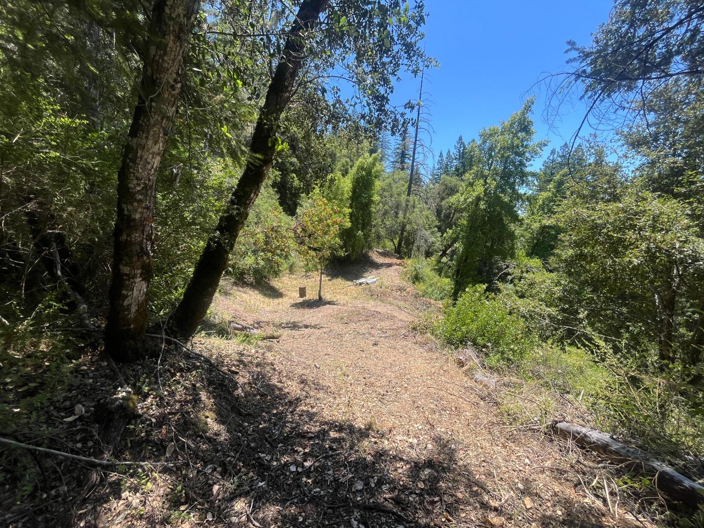 0 Deer Creek (Lot 21) RD, BoulderCreek, CA 95006, Photo 5