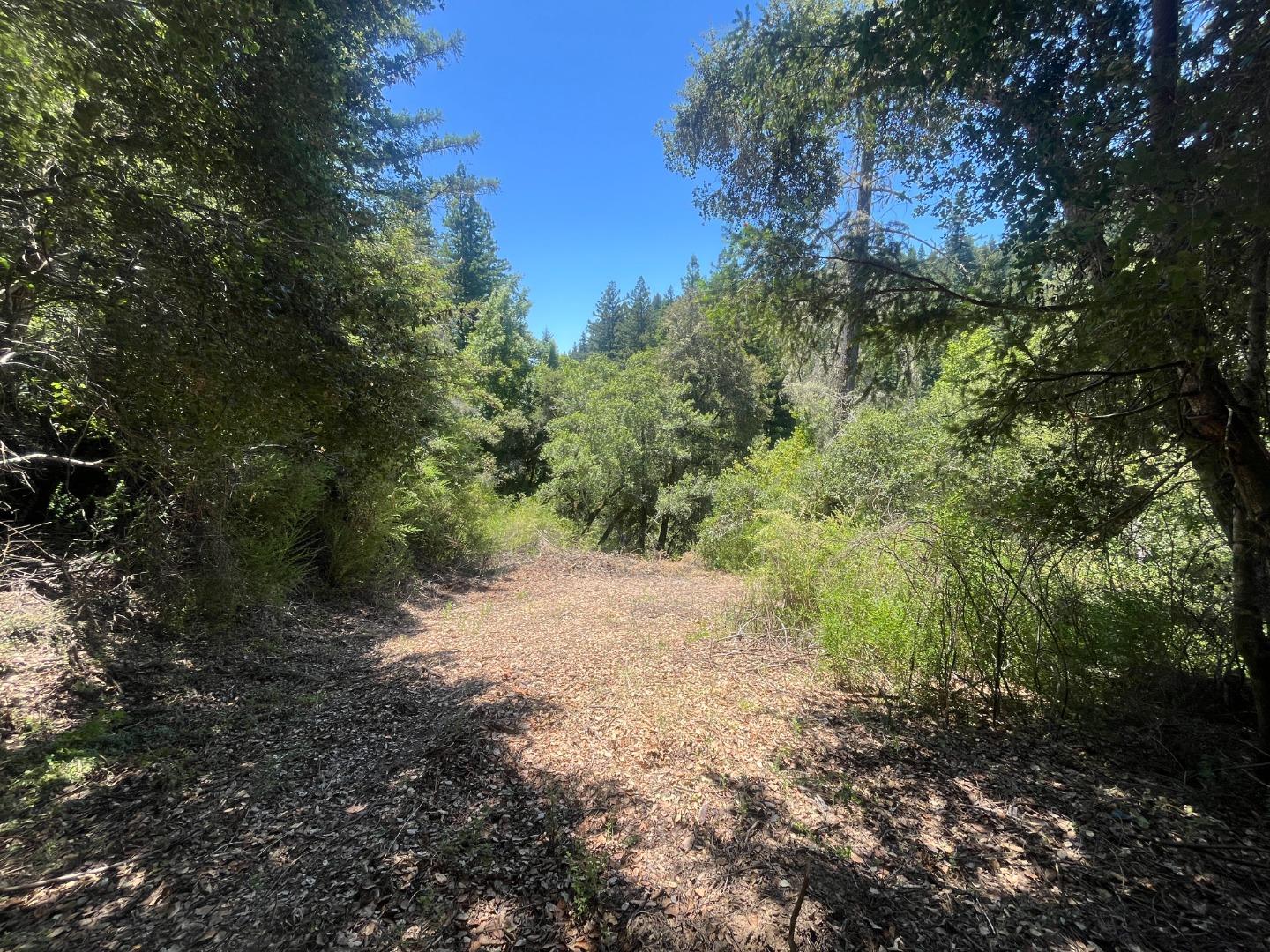 0 Deer Creek (Lot 21) RD, BoulderCreek, CA 95006, Photo 6