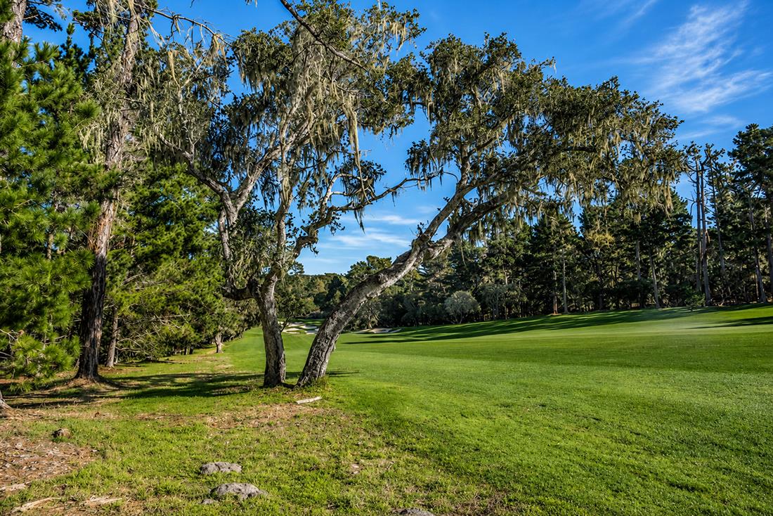 3158 Stevenson, PebbleBeach, CA 93953, Photo 6