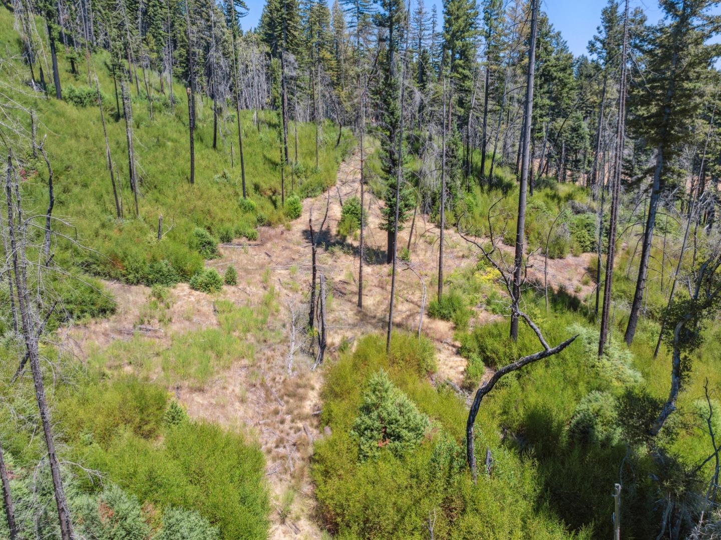Lot 03 & 06 Branson RNCH, BoulderCreek, CA 95006, Photo 5