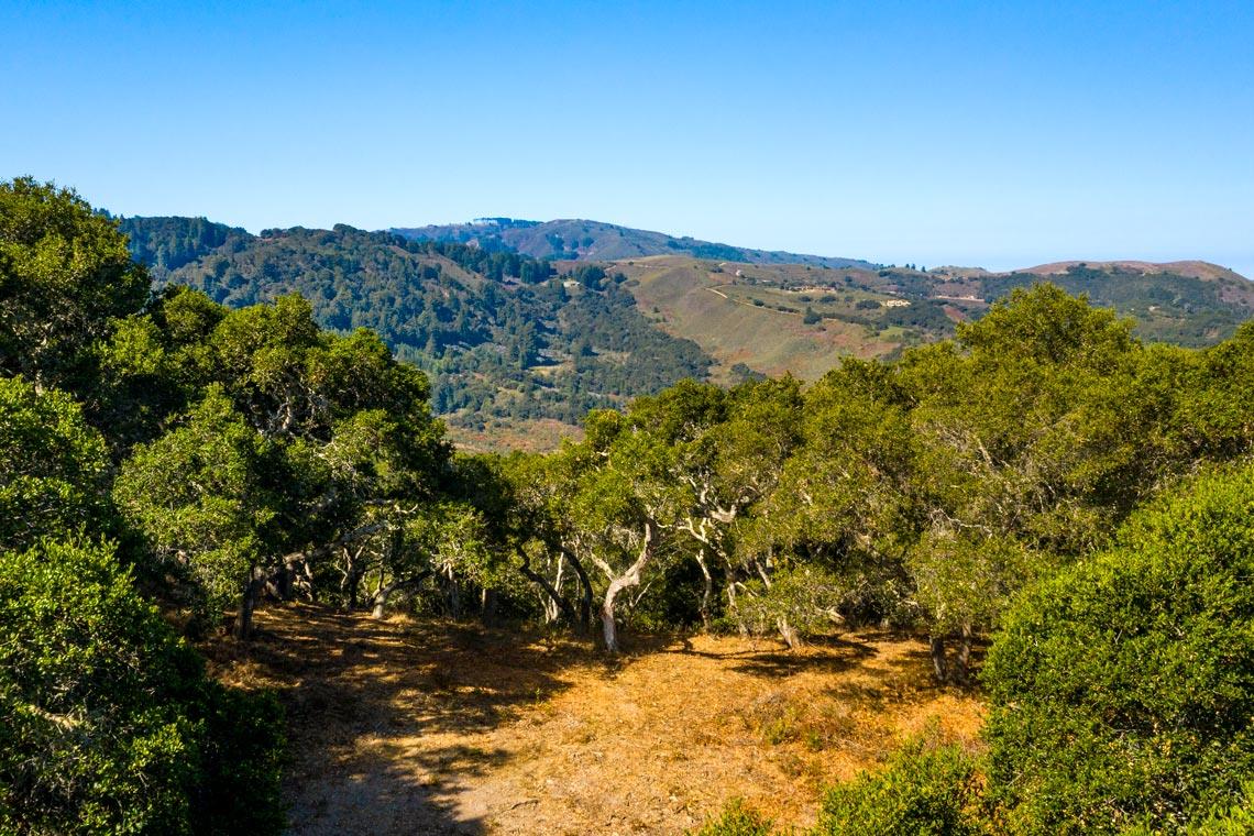2 Corral RUN, Carmel, CA 93923, Photo 2