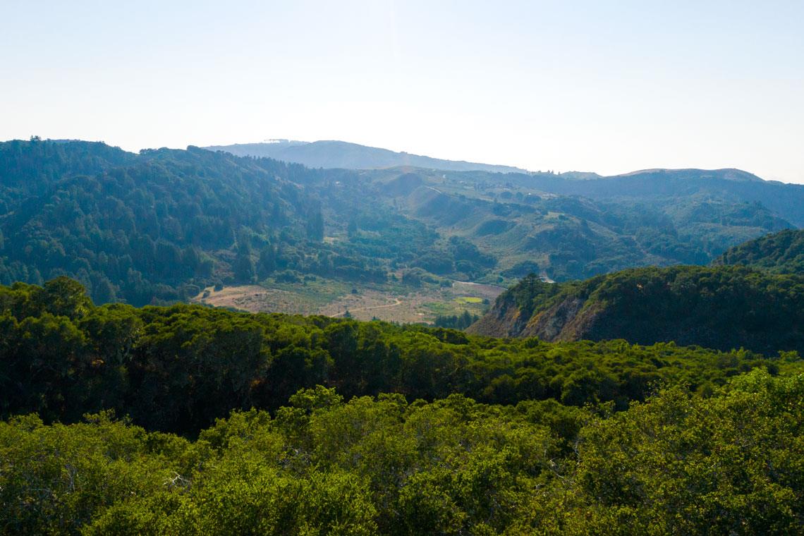 2 Corral RUN, Carmel, CA 93923, Photo 3