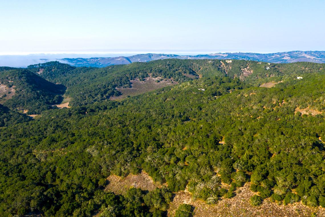2 Corral RUN, Carmel, CA 93923, Photo 4