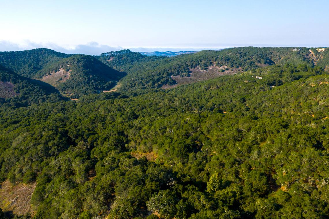 2 Corral RUN, Carmel, CA 93923, Photo 5