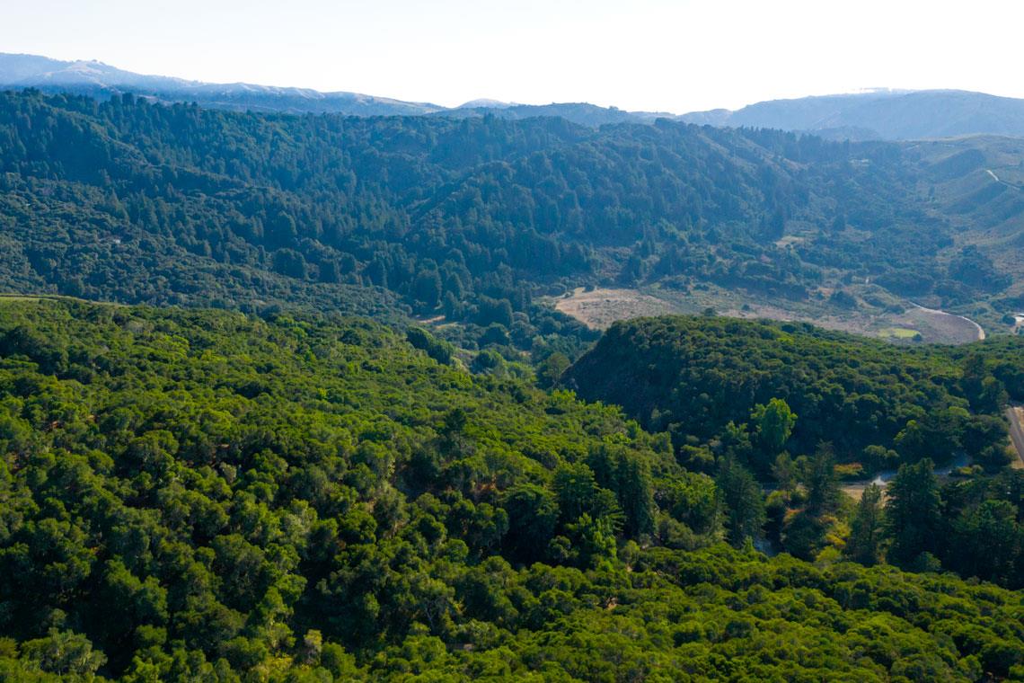 2 Corral RUN, Carmel, CA 93923, Photo 6