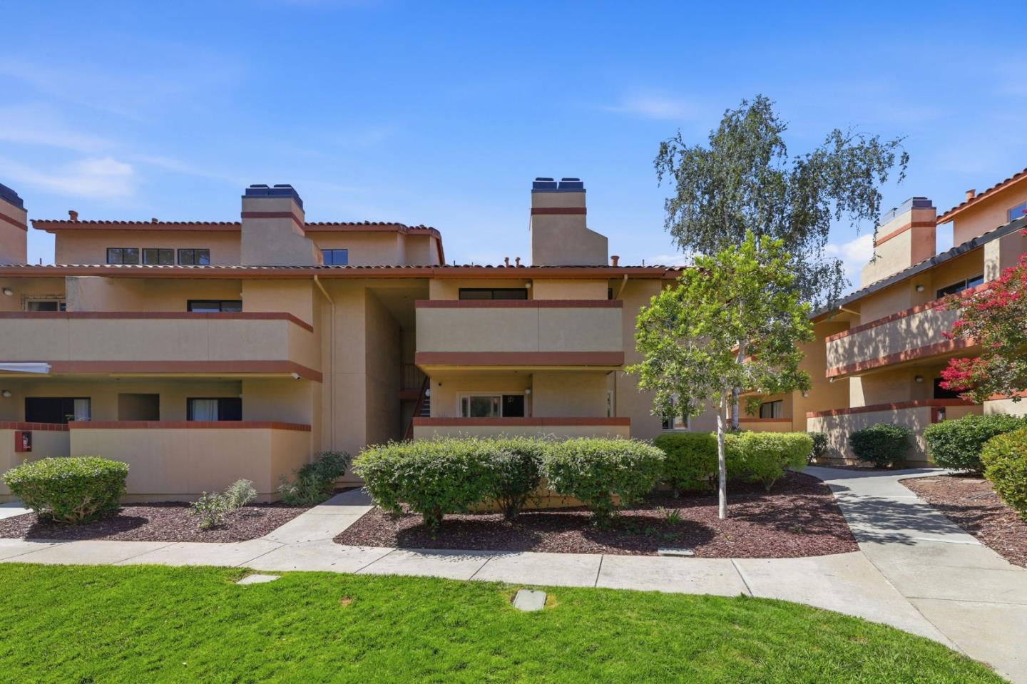 Cupertino