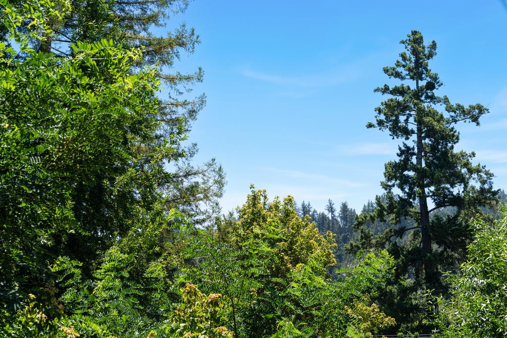 9655 Glen Arbor Rd, Ben Lomond, CA 95005 photo 33
