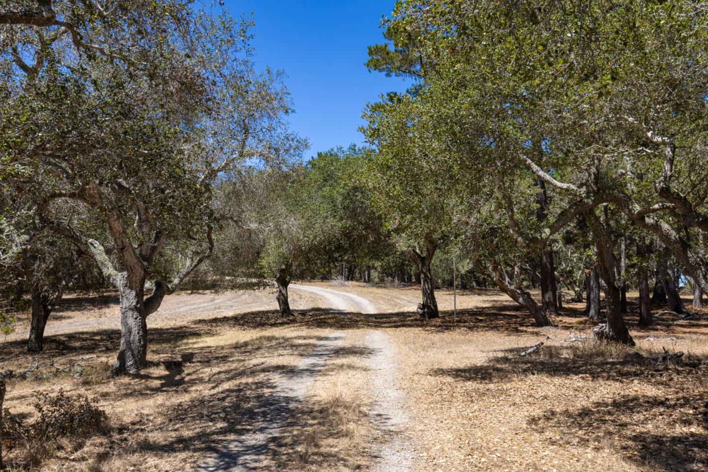 25600 Via Malpaso, Carmel, CA 93923, Photo 6