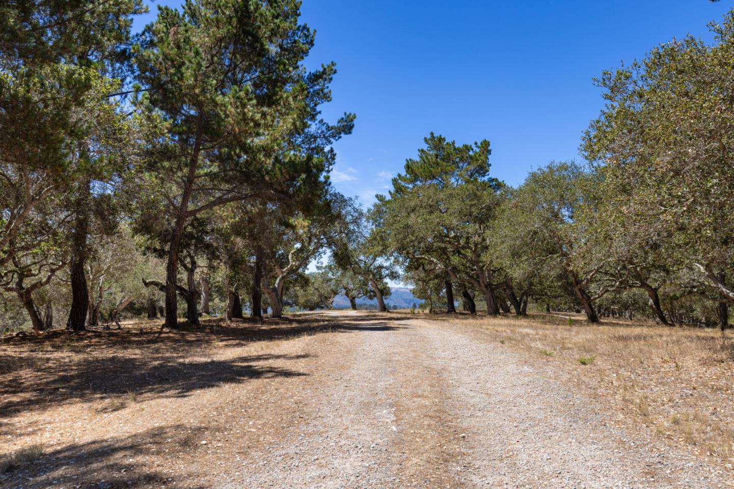 25600 Via Malpaso, Carmel, CA 93923, Photo 7