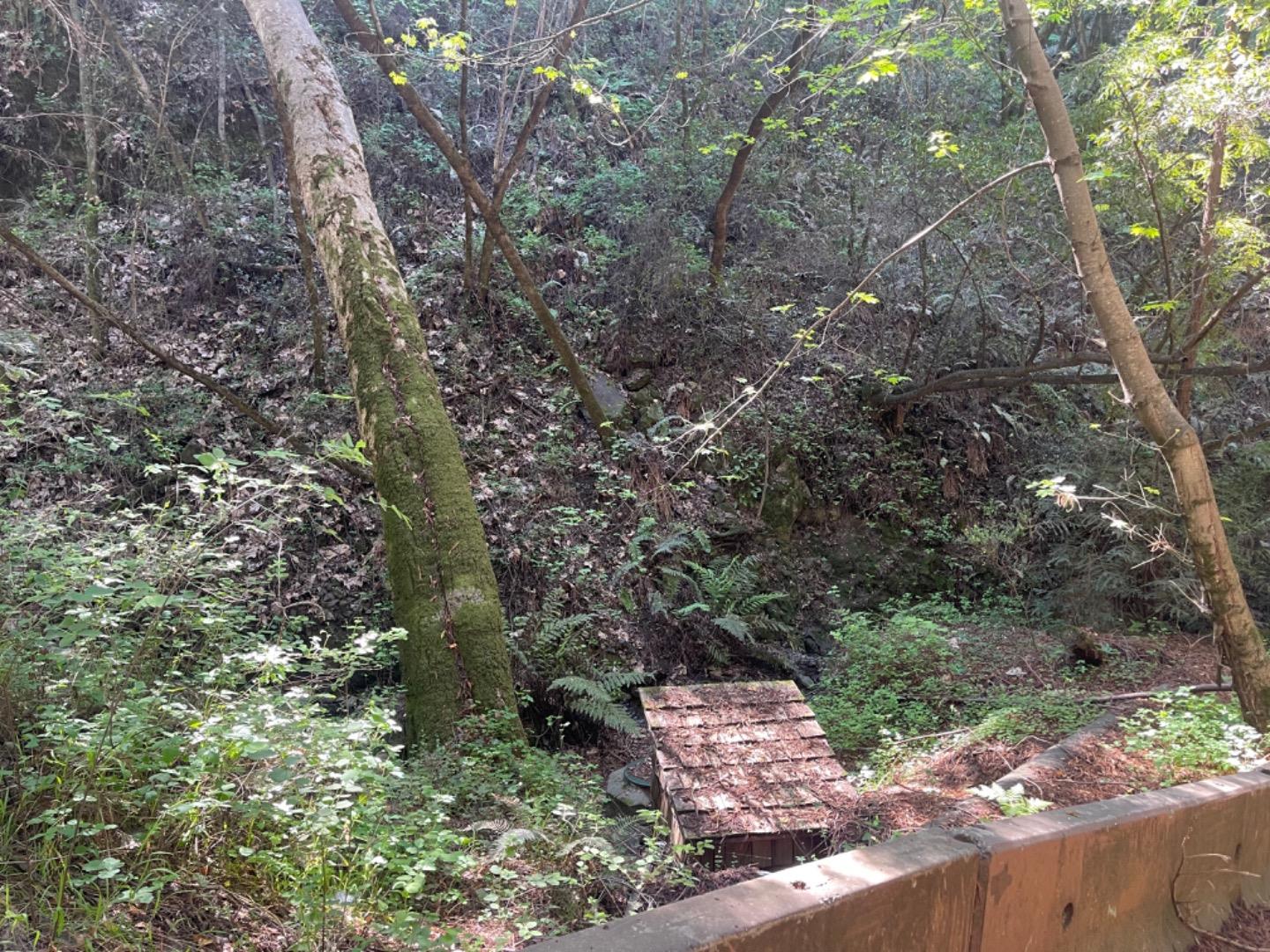 0 Sycamore Cyn RD, BigSur, CA 93920, Photo 6