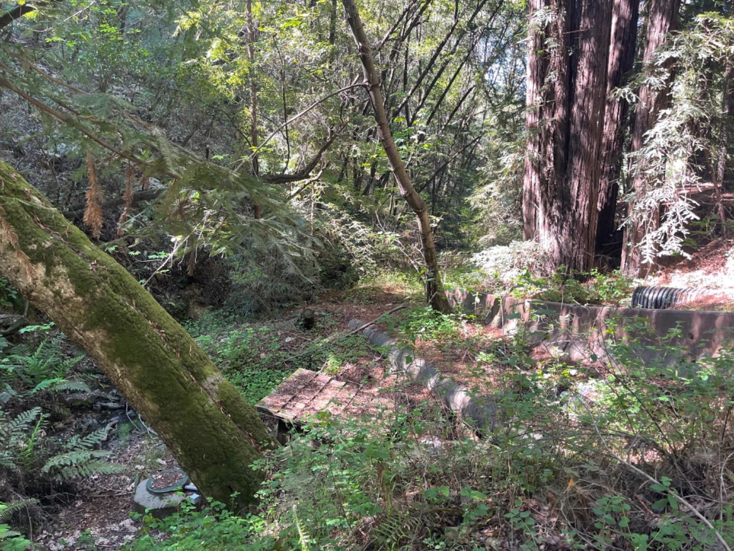 0 Sycamore Cyn RD, BigSur, CA 93920, Photo 7