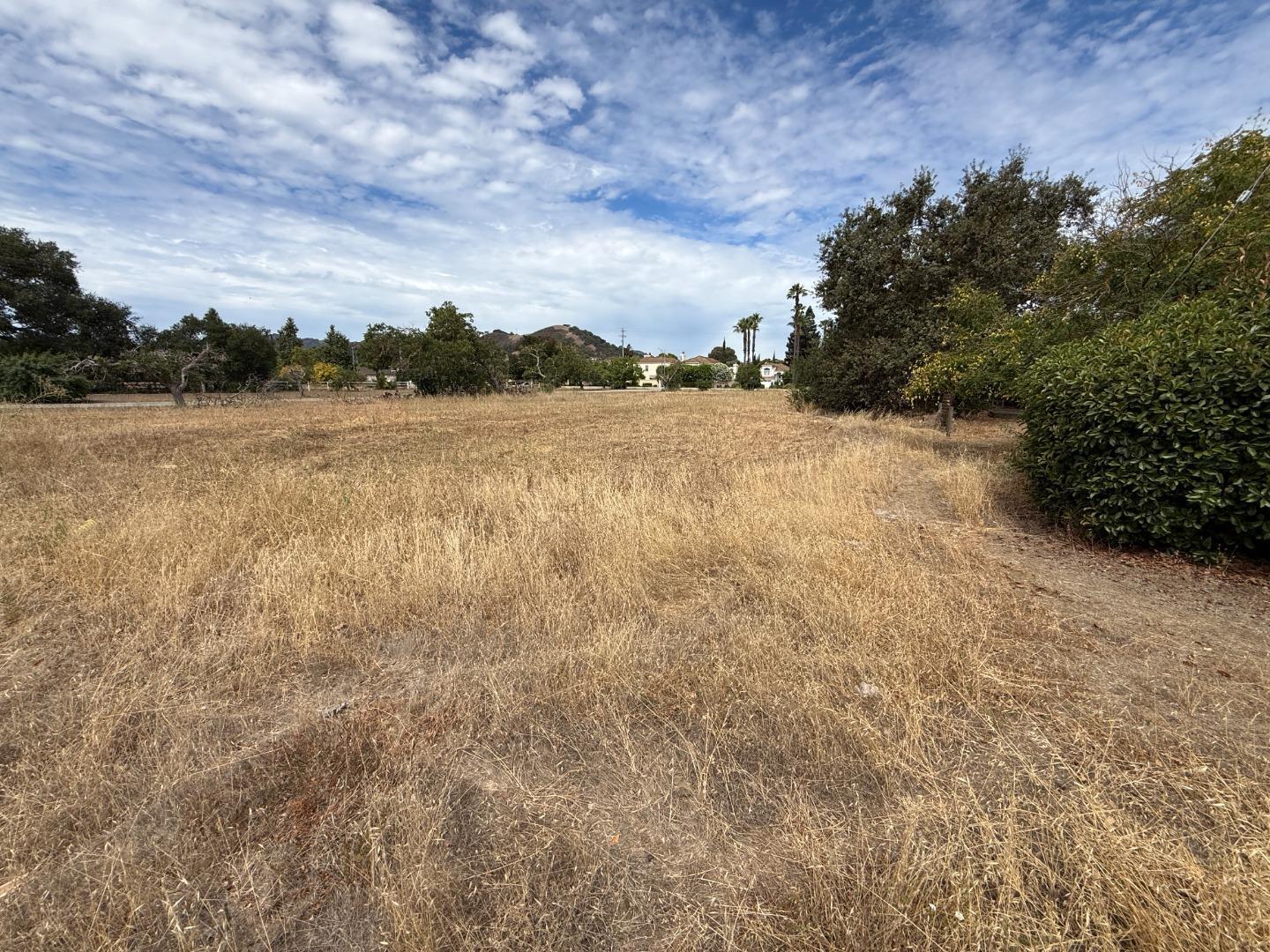 15195 Olive AVE, MorganHill, CA 95037, Photo 5