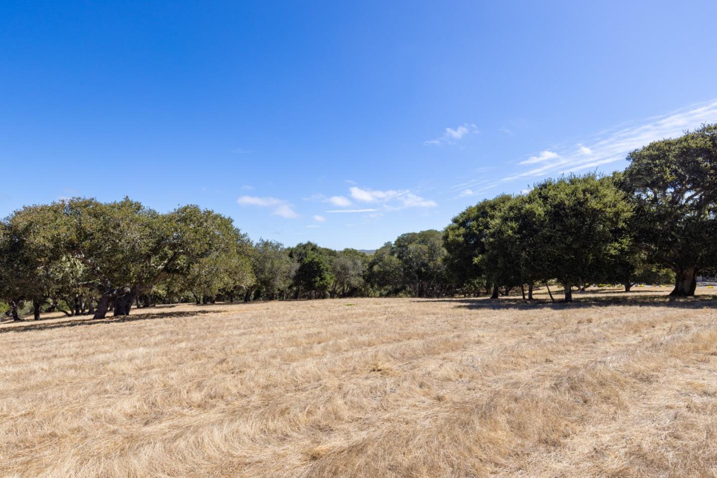8170 Manjares, Monterey, CA 93940, Photo 6