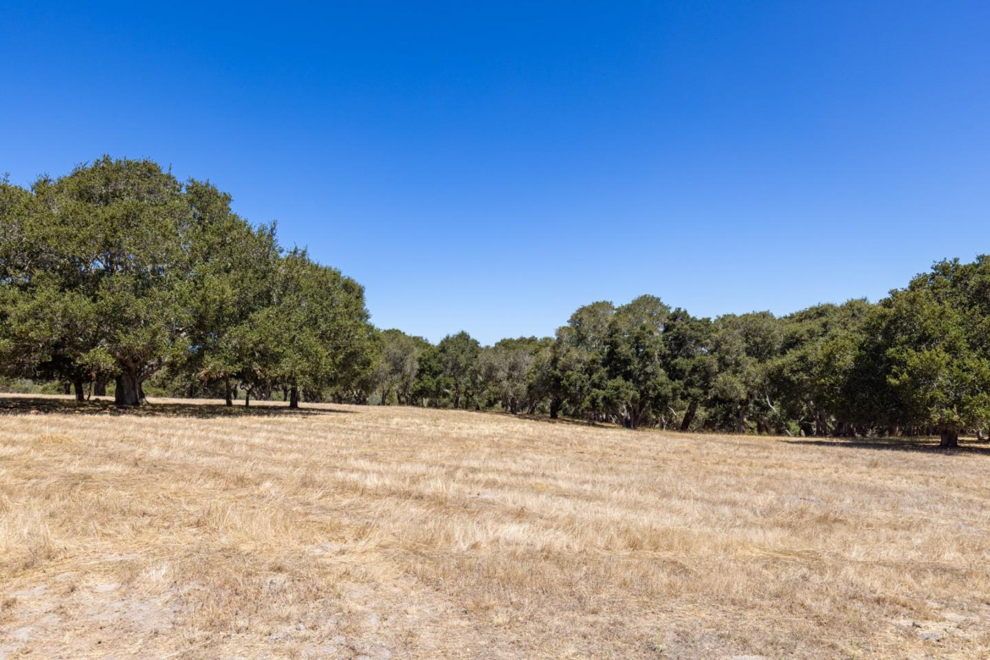 8170 Manjares, Monterey, CA 93940, Photo 7