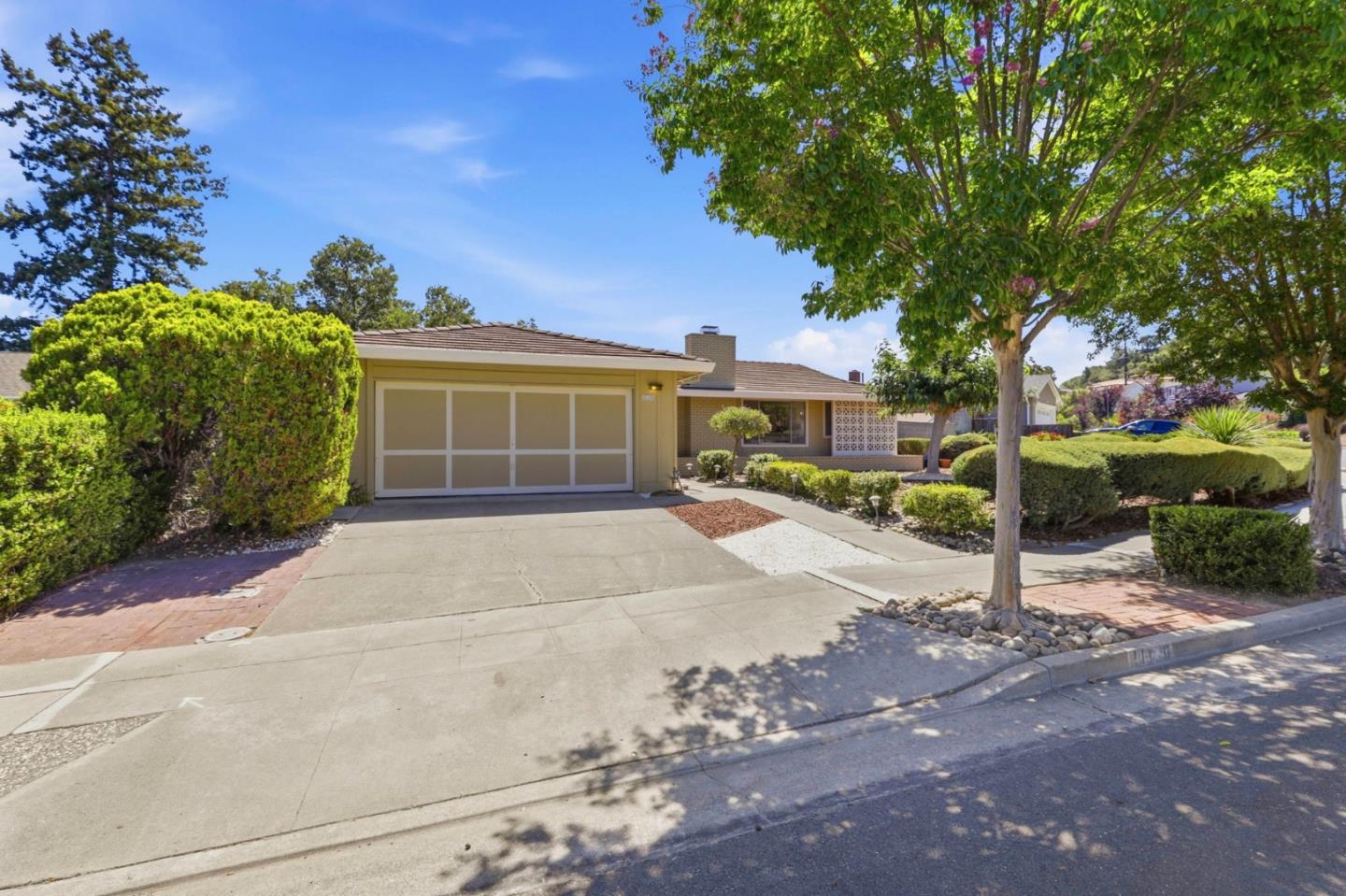 Cupertino