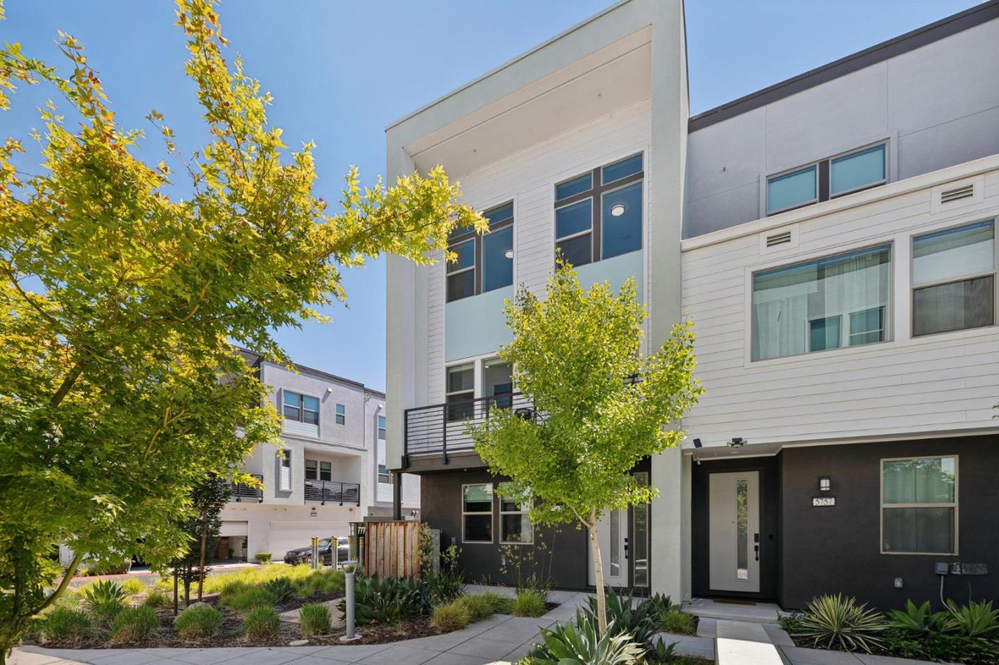 5761 Vibrant LOOP