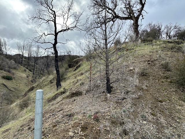0 San Antonio RD, SanJose, CA 95140, Photo 5