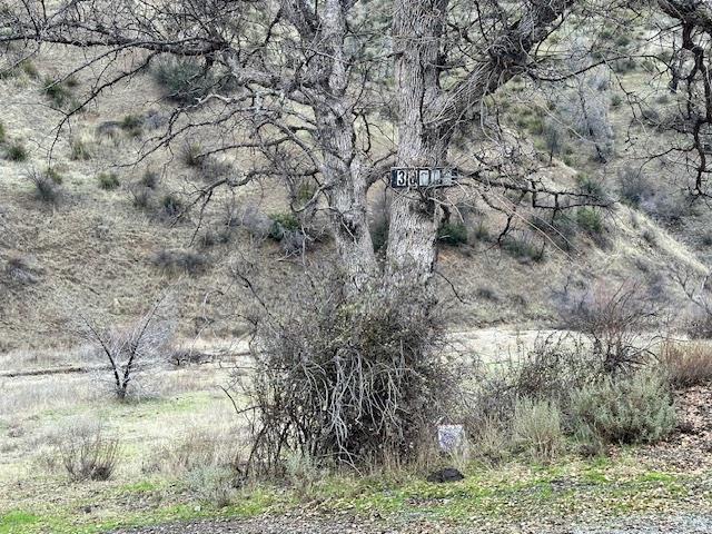 0 San Antonio RD, SanJose, CA 95140, Photo 6