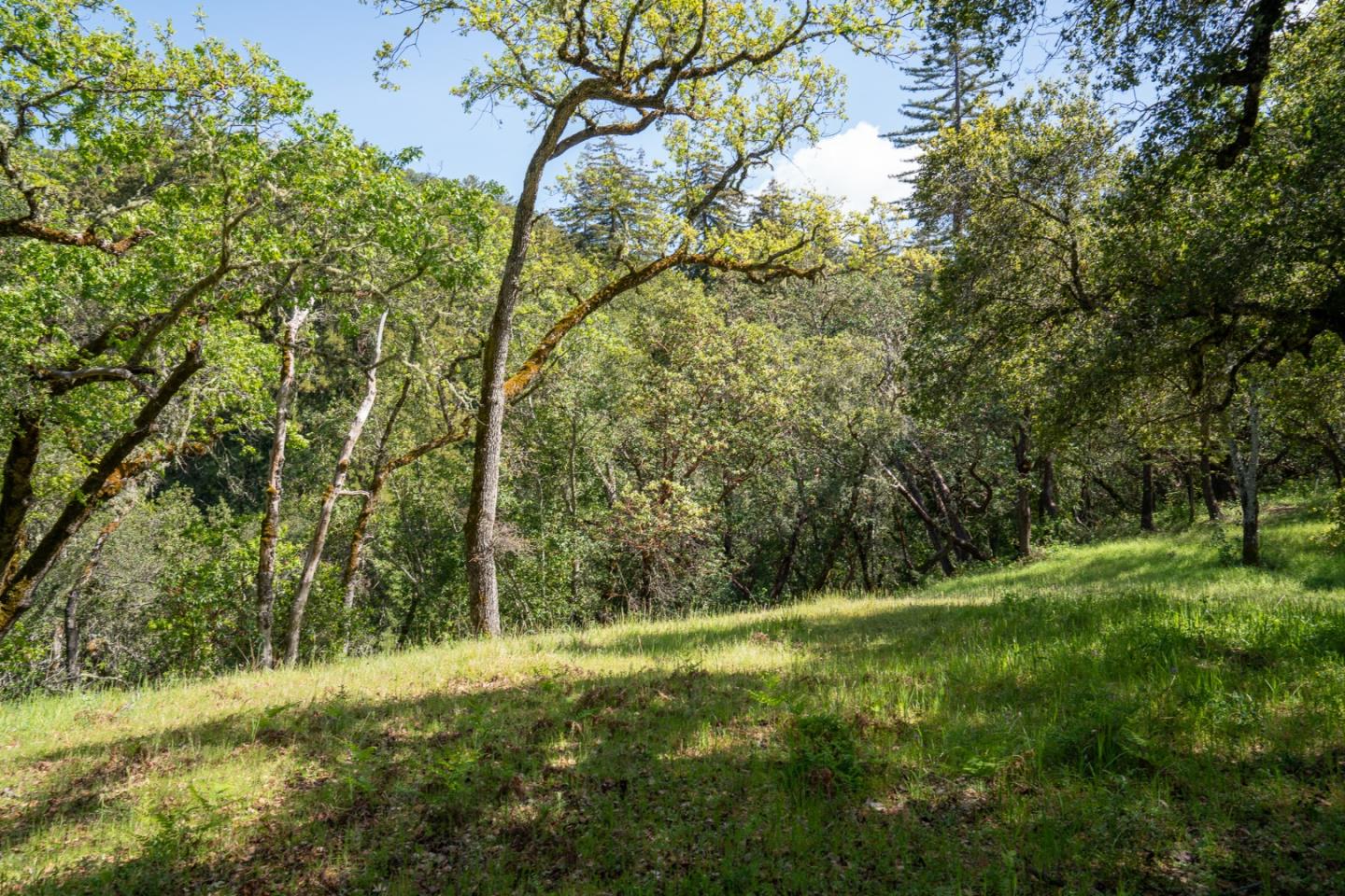 35000 Robinson Canyon RD, Carmel, CA 93923, Photo 7