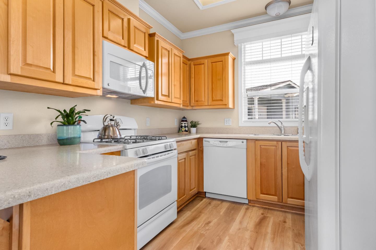 1555 Merrill ST 7, SantaCruz, CA 95062, Photo 3