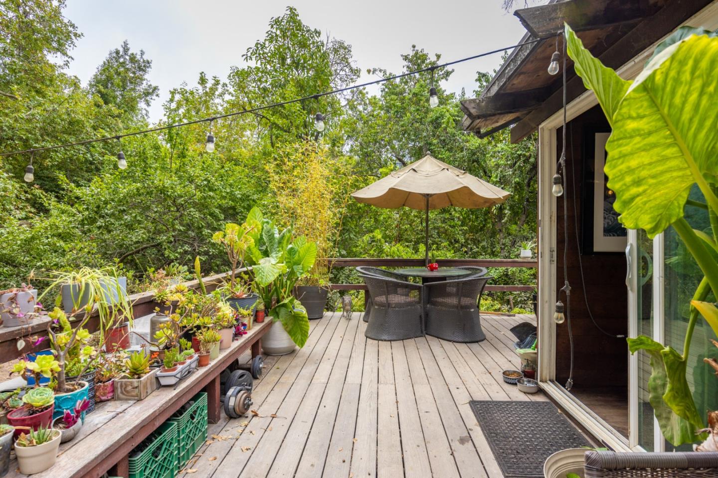46837 Highway 1, BigSur, CA 93920, Photo 6